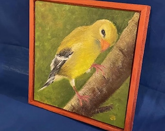 Framed Gold Finch Oil Painting: Small Original Bird Art