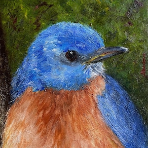 Bluebird Oil Painting - Etsy