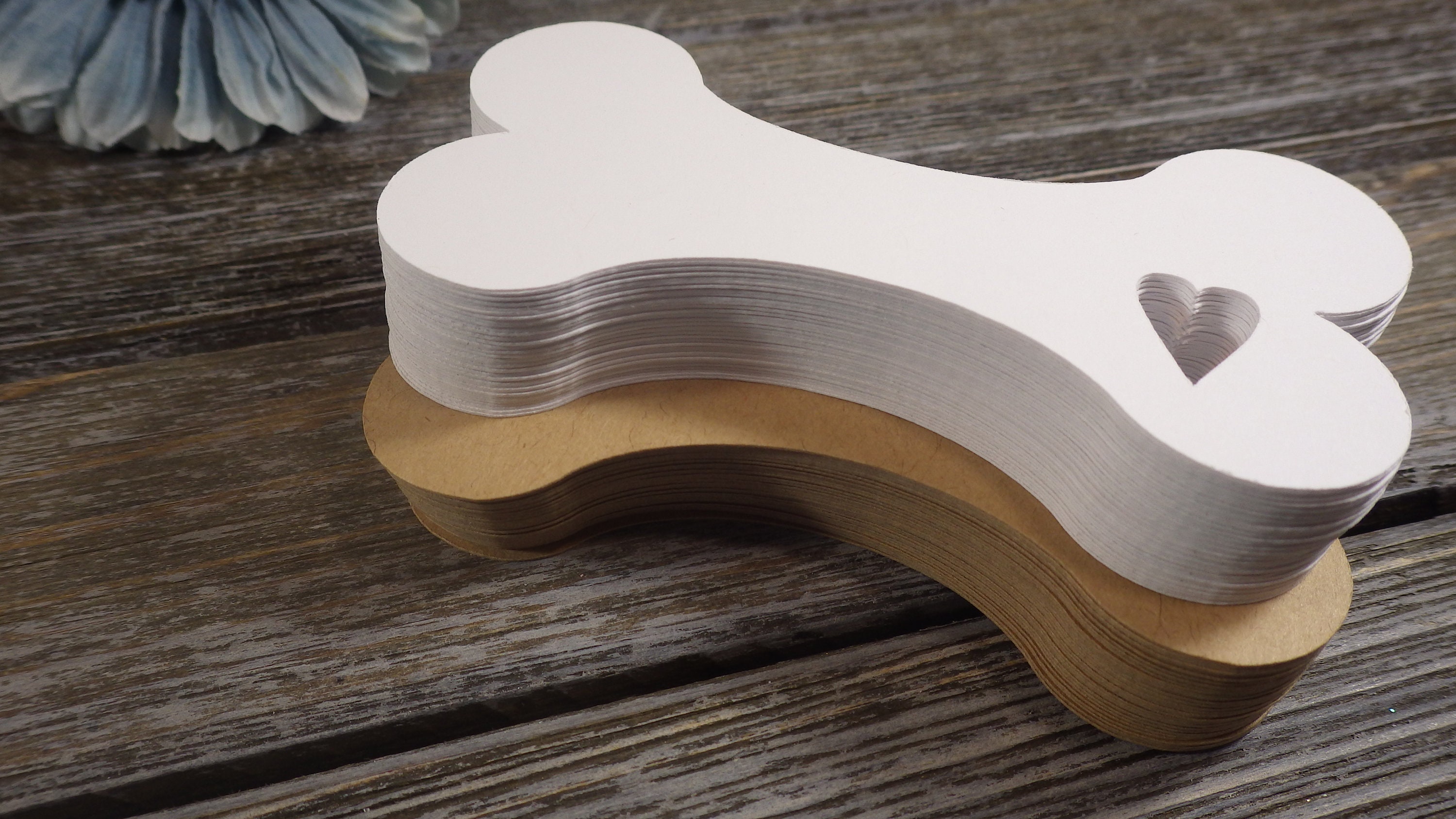 Dog Bone Die Cuts Dog Tags Bones Kids Crafts Craft Etsy