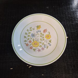 Vintage Corelle Meadow Pattern Salad Plate- 8.5&quot;