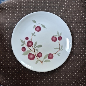 Vintage Homer Laughlin Serenade "Orchard" Apple Pattern Dinner Plate- 10"