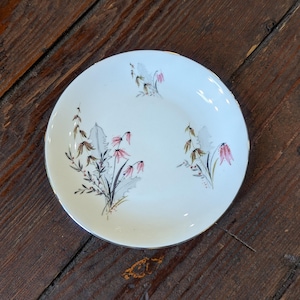 Puede incluir: Un plato de cerámica blanco con borde dorado. El plato presenta un diseño floral con flores rosas y marrones y hojas verdes. El plato está sobre una superficie de madera oscura.