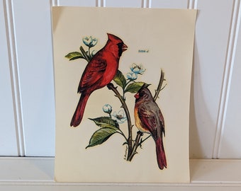 Vintage Meyercord Cardinals Decal