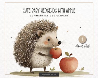 Baby Hedgehog, Cute Woodland animal, Baby Hedgehog Boho, Kids Deco, Children Party deco, Nursery Deco, Sublimation Clipart, PNG, POD Clipart