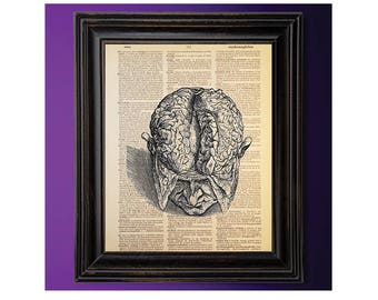 Brain Anatomy Vintage Illustration, Medical Art, Dictionary Art Print, Vintage Dictionary Paper, Recycled, Upcycled, Geek Decor, Gothic Art