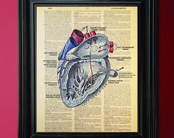 Heart Diagram, Vintage Anatomy, Medical Art, Dictionary Art Print, On Vintage Dictionary Paper, Recycled, Upcycled, Unique Decor, Goth Art