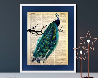 Peacock Wall Art, Peacock Decor, Vintage Dictionary Print, Peacock feathers, Vintage illustration, Lovely Gift, Unique Decor, Bird Art