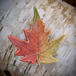 May include: A ceramic dish shaped like a maple leaf, featuring a gradient color transition from deep red on the left side to a bright yellow and light green on the right side, with detailed dark brown veins etched across the surface.