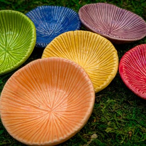 May include: Six small ceramic bowls in a rainbow of colors. The bowls have a textured, ribbed design and are arranged on a bed of green moss.