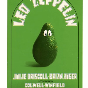 Led Zeppelin 1969 Fillmore West Bill Graham BG170 Postcard Randy Tuten