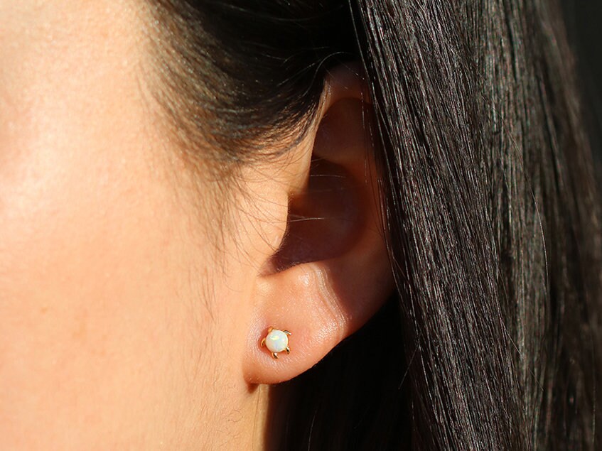 Orecchini a forma di tartaruga in argento sterling 925: gioielli con