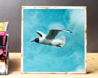 Seagull on Sylt, maritime, photo on wood, 22 x 22 cm