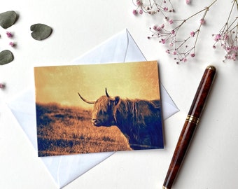 Galloway Cattle Scotland Folded Card with Envelope Greeting Card