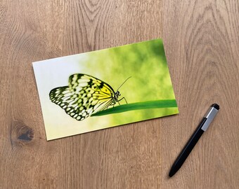 Gelber Schmetterling  Foto Photo XXL Postkarte 11 x 22 cm