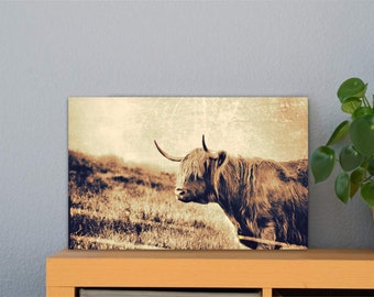 ALU-DIBOND WANDBILD STIER ABSTRAKT KUNSTDRUCK BILDER TIERE POSTER NATUR BULLE ALU-DIBOND WANDBILD STIER ABSTRAKT KUNSTDRUCK BILDER TIERE POSTER NATUR BULLE