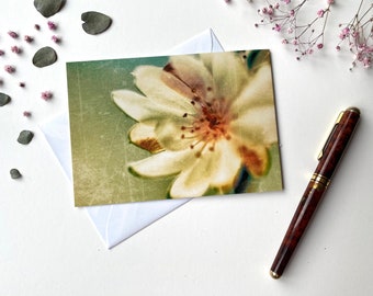 Photo greeting card apple blossom - folded card with envelope - format C6