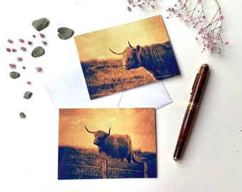 Galloway Cattle Scotland Folded Card with Envelope Greeting Card - Set of 2