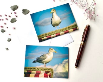 Set of 2 photo greeting cards on a beach chair with a seagull - folding card with envelope - format C6