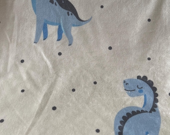 Dinosaur Baby Blanket
