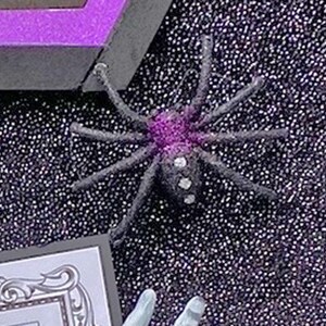 Puede incluir: Una ara&ntilde;a negra con un cuerpo morado y blanco y puntos blancos en sus patas. La ara&ntilde;a est&aacute; sobre un fondo negro con una textura brillante.