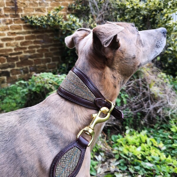 Whippet Collar Etsy UK