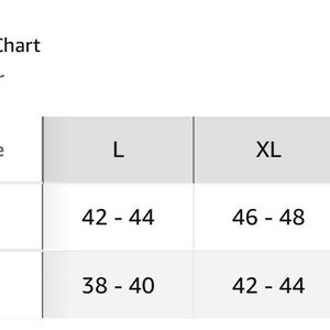 May include: Size chart for Hanes US Regular clothing, showing chest and waist measurements in inches for sizes L, XL, and 2XL.
