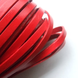 May include: Close-up of red leather cord, showing the smooth, flat surface and the way the cord is coiled.