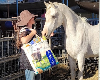 Reusable Shopping Tote - Tough - Durable - Water Proof - Recycled Upcycling Feed Bag - Washable