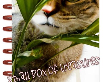 Front n Back Cover Set Garden Cat use w Classic/MiniHappy Planner/TUL/Erin Condren (LP/A5Coil/A5Ring)/A5 Filofax~