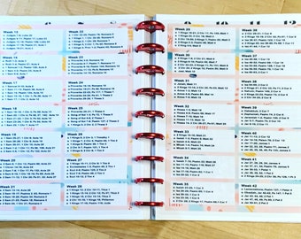 DASHBOARD Set of Two (2) *Read the Bible in a Year" Plan for use with Classic Happy Planner OR Erin Condren (Life Planner/A5Coil/A5Ring)-