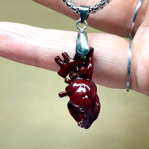 Heart Necklace, Anatomy Pendant