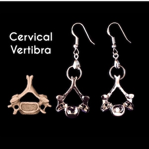 Cervical Spine Earrings – Precision-Crafted Anatomical Jewelry