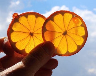 Orange earrings fake food jewelry orange slice earrings citrus jewelry polymer clay jewelry orange slice jewelry funny earring Fruit earring