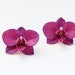 see more listings in the Earrings section