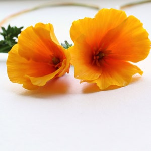californian poppy necklace california poppy pendant poppy fans gift blossom jewelry poppy jewellery poppy jewelry flower pendant floral pend