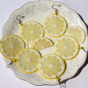 Lemon earrings fake food jewelry lemon slice earrings citrus jewelry polymer clay jewelry lemon slice jewelry funny earrings Fruit earrings Bild 1