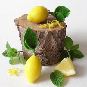 Lemon Earrings: Handmade Polymer Clay Citrus Jewelry, 3 sizes