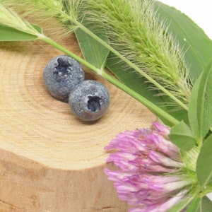 Blueberry earrings Blueberry stud  berry jewelry berry stud polymer clay jewelry Blueberry jewelry fake food earrings tiny stud vegan earrin