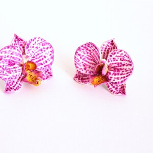 May include: Two pink and white orchid flowers with yellow centres. The flowers are on a white background.