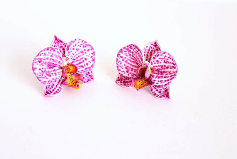 May include: Two pink and white orchid flowers with yellow centres. The flowers are on a white background.
