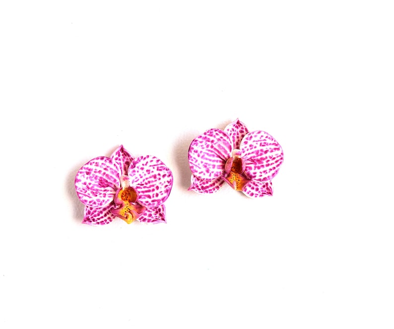 May include: Two pink and white orchid flowers with yellow centres, isolated against a white background.