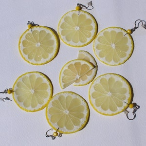 Lemon earrings fake food jewelry lemon slice earrings citrus jewelry polymer clay jewelry lemon slice jewelry funny earrings Fruit earrings Bild 3