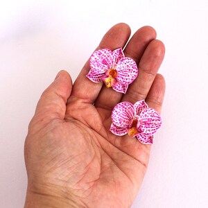 May include: Two pink and white orchid flowers with yellow centres, displayed on an open hand.