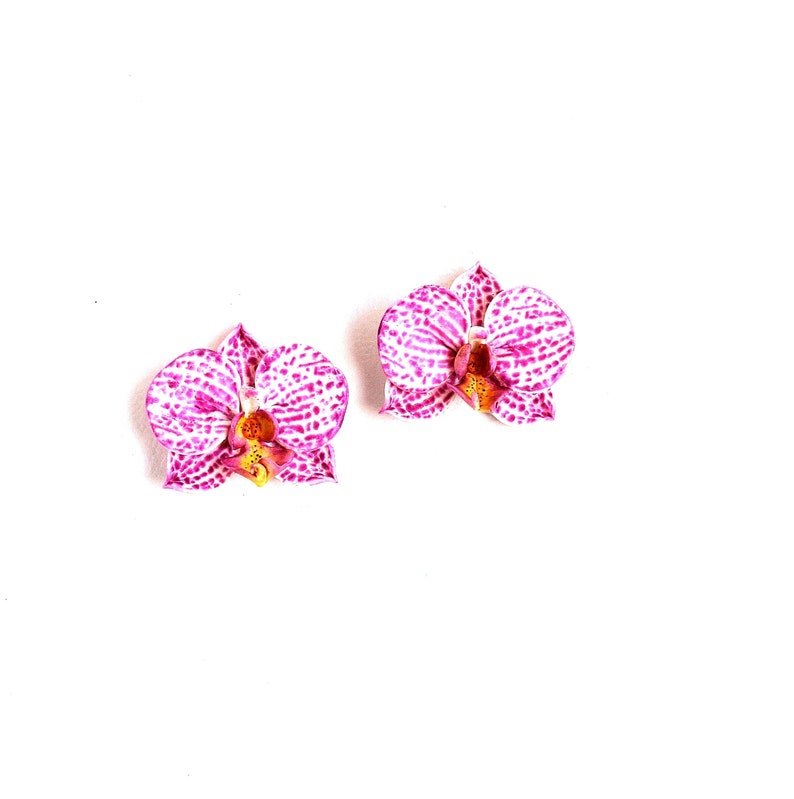 May include: Two pink orchid flowers with white and purple speckles. The flowers are on a white background.