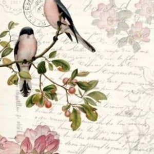 FRETE GRÁTIS - Spring Bird 21x29" Papel Decoupage por Roycycled Treasures