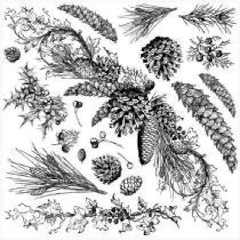 FREE SHIPPING Signs RootBound Card Making Furniture Projects Iron Orchid Designs Paper Crafts Evergreen IOD Stamp 12 x 12