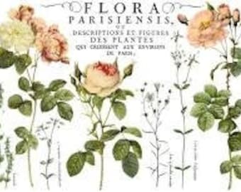 FREE SHIPPING - Flora Parisiensis 12x16" Transfer Pad 4 Sheet Set by Iron Orchid Designs (IOD)