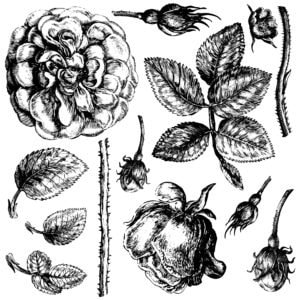 ENVÍO GRATIS - Juego de dos láminas de sellos decorativos Lady of Shalott de 12 x 12" de Iron Orchid Designs (IOD)