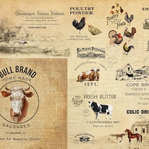 FRETE GRÁTIS - Barnyard Masterboard 21x29" Papel Decoupage por Roycycled Treasures