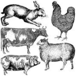 ENVÍO GRATIS - Sello decorativo de animales de granja de 12 x 12 pulgadas de Iron Orchid Designs (IOD)